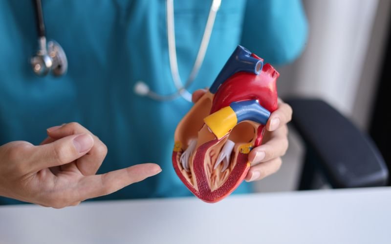 Cardiology RCM Services